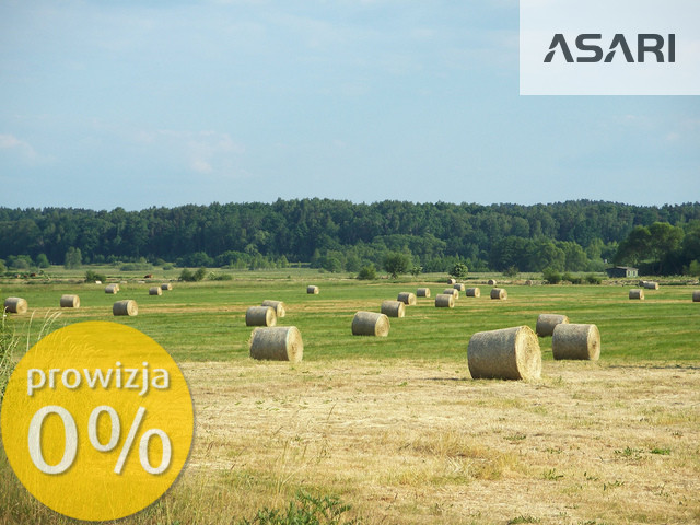 Piaseczno, ul. Armii Krajowej